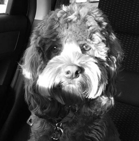Charlie