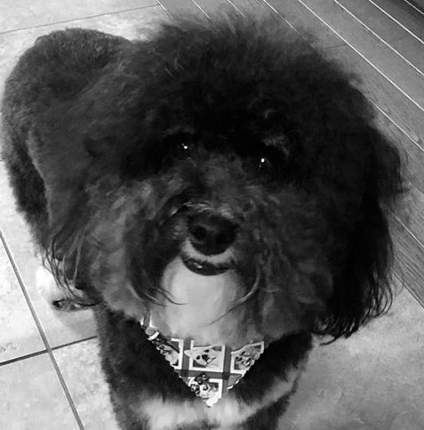 Frankie